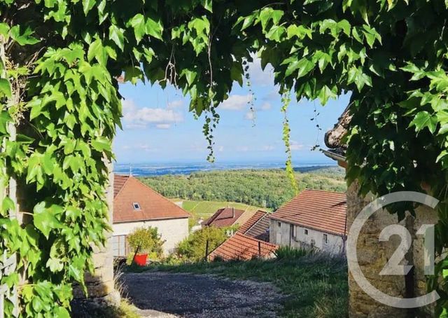 maison à vendre - 14 pièces - 265.99 m2 - BAUBIGNY - 21 - BOURGOGNE - Century 21 Agence Massot-Nouveau