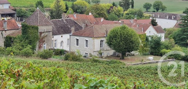 maison à vendre - 10 pièces - 428.0 m2 - CHASSEY LE CAMP - 71 - BOURGOGNE - Century 21 Agence Massot-Nouveau