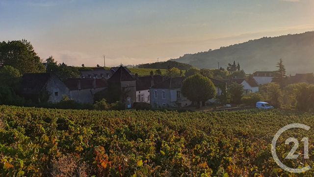 maison à vendre - 10 pièces - 428.0 m2 - CHASSEY LE CAMP - 71 - BOURGOGNE - Century 21 Agence Massot-Nouveau