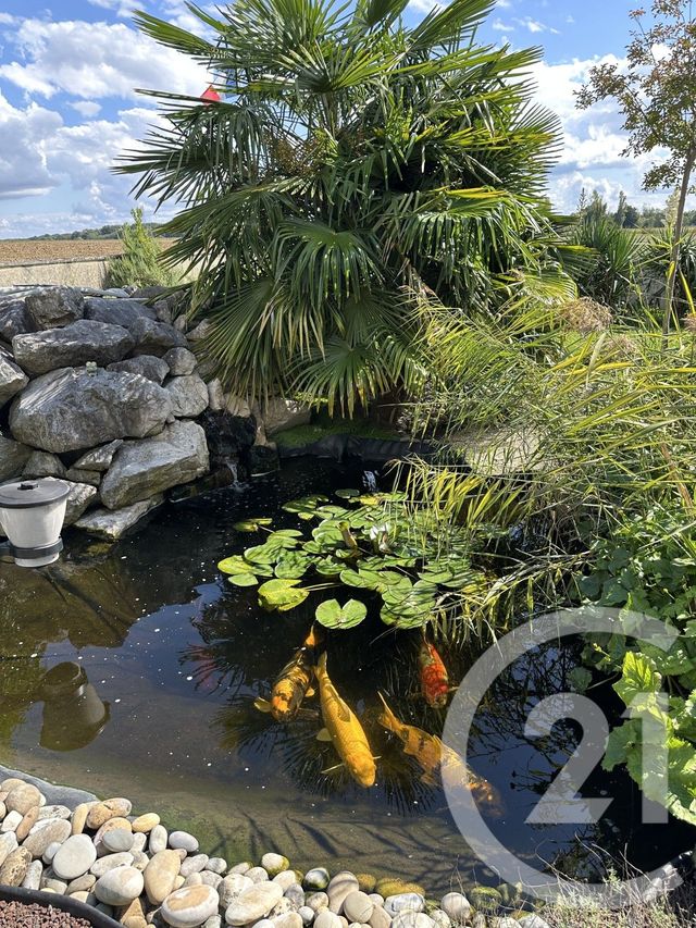 maison à vendre - 7 pièces - 160.4 m2 - BLIGNY LES BEAUNE - 21 - BOURGOGNE - Century 21 Agence Massot-Nouveau