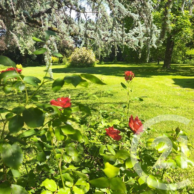 maison à vendre - 8 pièces - 200.0 m2 - MONTAGNY LES BEAUNE - 21 - BOURGOGNE - Century 21 Agence Massot-Nouveau