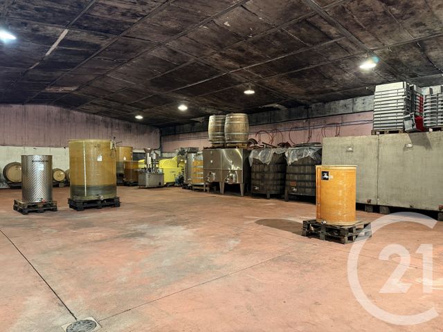 maison à vendre - 8 pièces - 543.94 m2 - MOREY ST DENIS - 21 - BOURGOGNE - Century 21 Agence Massot-Nouveau