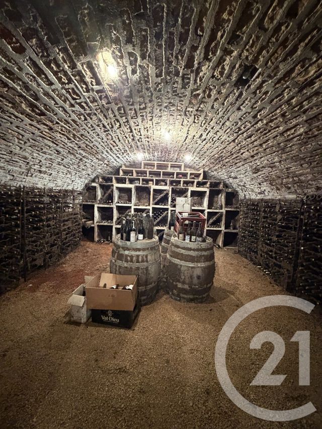 maison à vendre - 8 pièces - 543.94 m2 - MOREY ST DENIS - 21 - BOURGOGNE - Century 21 Agence Massot-Nouveau