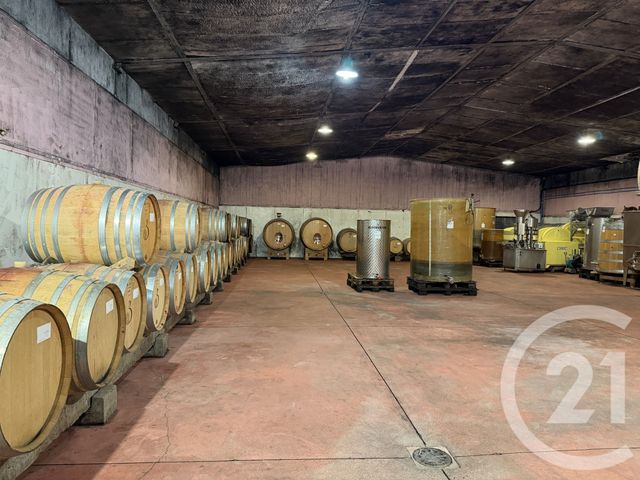 maison à vendre - 8 pièces - 543.94 m2 - MOREY ST DENIS - 21 - BOURGOGNE - Century 21 Agence Massot-Nouveau