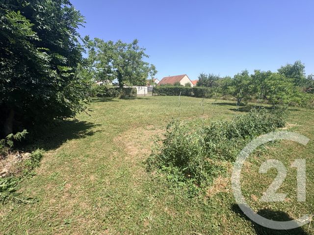 maison à vendre - 5 pièces - 200.0 m2 - STE MARIE LA BLANCHE - 21 - BOURGOGNE - Century 21 Agence Massot-Nouveau